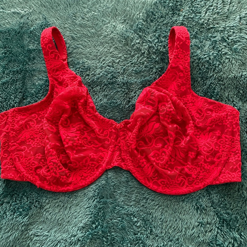 2 46ddd Lane Bryant bra